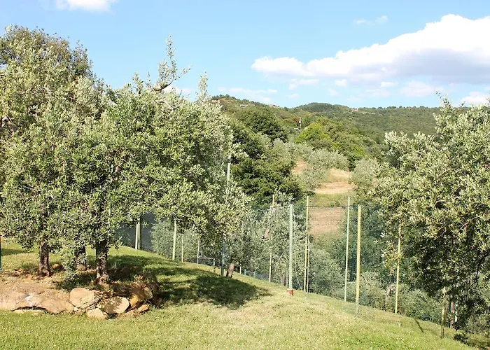 Malagronda Alojamento de Turismo Rural