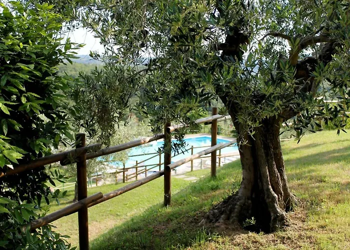 Malagronda Alojamento de Turismo Rural